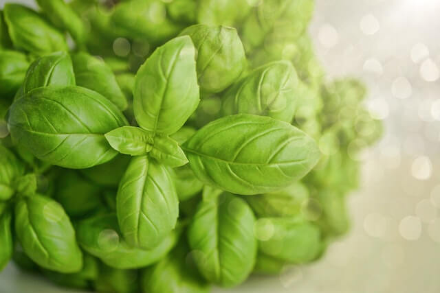 a close up of a bunch of basil, Mediterranean Diet for Beginners